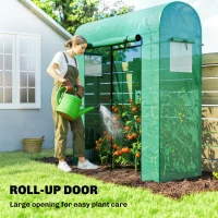 Outsunny Mini Greenhouse, Portable Garden Green House with Roll-up Door and Mesh Windows, 6' x 2' x 6.6', Green(m-5)