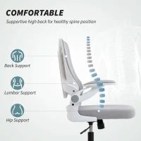 HOMCOM Ergonomic Office Chair, Swivel Desk Chair with Lumbar Support and Adjustable Height, Flip-up Armrests, Wheels, Black(m-4)