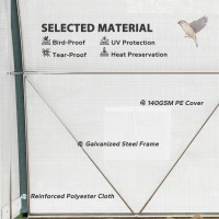 Outsunny 10'x6.6'x6.6' Upgraded Tunnel Greenhouse Green House with Mesh Door and Windows, 6 Plant Labels and Gloves, White(m-6)