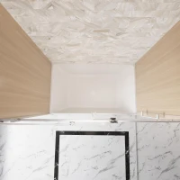 Frameless Shower Door with Anti-Shatter Safety Film and Bottom Water-Blocking Strip, Panel for Bathroom, 60" L x 0.5" W x 60" H, Brushed Nickel(m-10)