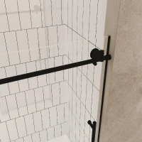 Frameless Sliding Shower Door with Smooth Quiet Stainless Steel Rollers & Round Tracks, Panel for Bathroom, 60" L x 0.5" W x 60" H, Matte Black(m-12)