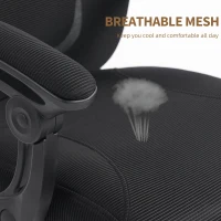 HOMCOM Office Chair, Ergonomic Mesh Computer Desk Chair with Adjustable Headrest, Lumbar Support, Black(m-10)