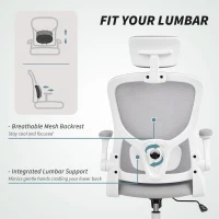 HOMCOM Ergonomic Office Chair, Mesh Desk Chair with Adjustable Headrest, Lumbar Support and Height, Flip-Up Armrests, Grey(m-5)