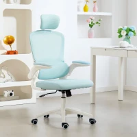 HOMCOM Ergonomic Mesh Office Chair, High Back Desk Chair with Rotatable Headrest, Flip-Up Armrests, Lumbar Support, Light Green(m-8)