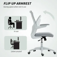 HOMCOM Ergonomic Office Chair, Swivel Desk Chair with Adjustable Lumbar Support and Height, Flip-up Armrests, Wheels, Grey(m-6)