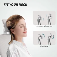 HOMCOM Ergonomic Office Chair, Mesh Desk Chair with Adjustable Headrest, Lumbar Support and Height, Flip-Up Armrests, Grey(m-6)