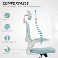 HOMCOM Ergonomic Mesh Office Chair, High Back Desk Chair with Rotatable Headrest, Flip-Up Armrests, Lumbar Support, Light Green(m-4)