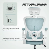 HOMCOM Ergonomic Office Chair, Mesh Desk Chair with Adjustable Headrest, Lumbar Support and Height, Tilt Function, Light Green(m-5)