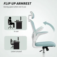 HOMCOM Ergonomic Office Chair, Mesh Desk Chair with Adjustable Headrest, Lumbar Support and Height, Tilt Function, Light Green(m-7)