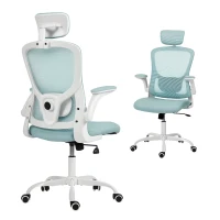 HOMCOM Ergonomic Office Chair, Mesh Desk Chair with Adjustable Headrest, Lumbar Support and Height, Tilt Function, Light Green(m-11)