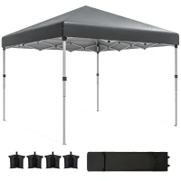 Outsunny 10' x 10' Pop Up Canopy with Sidewalls, Roller Bag, Height Adjustable Instant Tent for Outdoor, Garden, Patio, Grey(m-2)