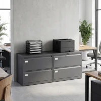 HOMCOM Lateral Filing Cabinet with 2 Drawers, Lockable Steel File Cabinet for A4/Letter/Legal Size Files, Black(m-9)