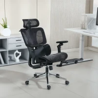 HOMCOM Ergonomic Office Chair, Mesh Computer Chair with High Back, Lumbar Support, 6D Armrests, Headrest, Footrest, Black(m-1)
