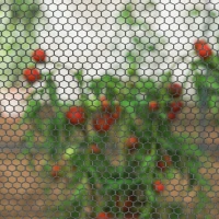 Outsunny 8' x 4' Crop Cage, Garden Plant Protector, with 2 Zippered Doors and 6 Ground Stakes, for Garden, Yard, Lawn, Black(m-9)