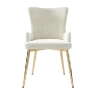 Set of 2 Modern Velvet Dining Chairs with Plush Padding, Upholstered Leisure Chairs with Sturdy Metal Legs, 21.5'' L x 20.5'' W x 33.5'' H, Beige(m-7)