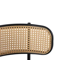 Set of 4 Modern Velvet Dining Chairs with PE Rattan Backrest, Minimalist Leisure Chairs with Round Padded Seat, 19.5'' L x 20'' W x 29.5'' H, Green(m-6)