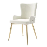 Set of 2 Modern Velvet Dining Chairs with Plush Padding, Upholstered Leisure Chairs with Sturdy Metal Legs, 21.5'' L x 20.5'' W x 33.5'' H, Beige(m-6)