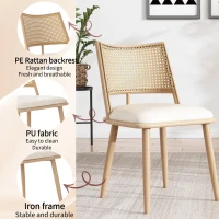 Set of 2 Modern Dining Chairs with PE Rattan Backrest, Ergonomic Side Chairs for Restaurant, 19.5'' L x 19'' W x 31.5'' H, Beige+Natural(m-4)