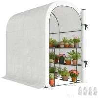 Outsunny Walk-in Mini Greenhouse with Shelves, Portable Outdoor Greenhouse with Roll-up Door, 123 x 187 x 189 cm, White(m-11)