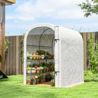 Outsunny Walk-in Mini Greenhouse with Shelves, Portable Outdoor Greenhouse with Roll-up Door, 123 x 187 x 189 cm, White(m-1)