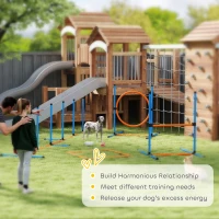 PawHut Dog Agility Training Equipment, 5PCS Dog Obstacle Course Starter Kit with Carrying Bag(m-9)