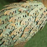 Outsunny Heron Garden Statue, Standing Lawn Ornament for Lawn Patio Backyard Decoration, 15.3"W x 6.7"D x 35.4"H Mixed Colour(m-9)