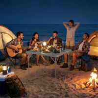 Outsunny Folding Picnic Table Heavy Duty Camping Table 34" x 34", Indoor Outdoor Use for Picnic, Beach, BBQ, Grey(m-10)