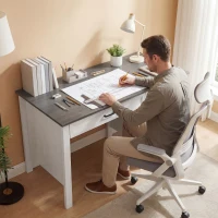 HOMCOM 54" Farmhouse Executive Desk, Computer Desk with Drawers, Adjustable Hanging Rails for for A4/Letter Size Files, White(m-10)