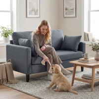 HOMCOM 55" Loveseat Sofa, Modern Linen Upholstered Couch with Spring Cushion, 2 Pillows, Dark Grey(m-9)