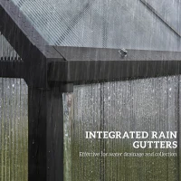 Outsunny Polycarbonate Greenhouse with Swing Door and Adjustable Window, Walk-in Greenhouse with Rain Gutter, 6 x 6.5ft, Black(m-10)