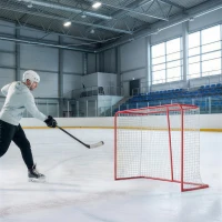 Soozier 5' x 4' Mini Hockey Goal, Easy Setup Hockey Net with Metal Frame, Lightweight & Portable(m-8)
