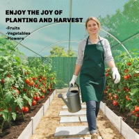 Outsunny Walk-in Tunnel Greenhouse with 2 Support Rods, Mesh Door, Plant Hot House with PE Cover, 20'x10'x7', Green(m-10)