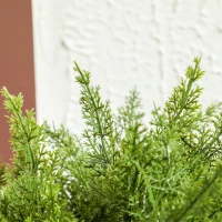 HOMCOM Decorative Artificial Plants, Cedar Topiary Trees in Pots, Fake Plants for Home Indoor outdoor Decor, Green(m-10)