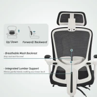 HOMCOM Ergonomic Office Chair, Mesh Reclining Desk Chair with Adjustable Lumbar Support, Headrest, Black(m-5)