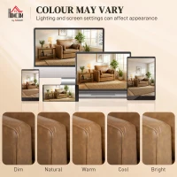 HOMCOM Accent Chair, PU Leather Armchair with Wide Seat, Spring Cushion, Rubberwood legs, 2 Pillows, Brown(m-6)