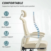 HOMCOM Ergonomic Office Chair, Mesh Reclining Desk Chair with Adjustable Lumbar Support, Headrest, Beige(m-4)