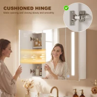 kleankin Medicine Cabinet with Mirror, Wall Mounted Bathroom Mirror Cabinet with Adjustable Shelf, USB Charge, High Gloss White(m-9)