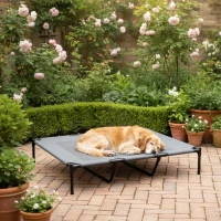 PawHut Elevated Dog Bed, Raised Dog Cot for XL Sized Dogs, Indoor & Outdoor, 48" x 36" x 9", Light Grey(m-8)