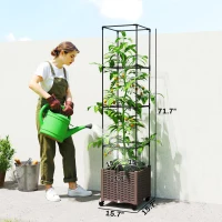 Outsunny Raised Garden Bed with Trellis, Tomato Cage with Lockable Wheels, Self Watering Planter Box with Drainage Holes, Brown(m-3)