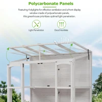 Walk-In Greenhouse with 4 Skylight & 2 Folding Shelf, Wood Cold Frame with Polycarbonate Panel for Garden, 58'' L x 29'' W x 78'' H, White(m-5)