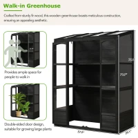 Walk-In Wooden Greenhouse with 2 Folding Shelf & 4 Skylight, Sturdy Fir Wood Cold Frame for Backyard, 58'' L x 29'' W x 78'' H, Black(m-6)