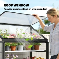 Outsunny Polycarbonate Greenhouse with 2-Tier Shelves Gardening Green House for Patio Garden, Black(m-4)