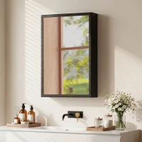 kleankin Wall-Mounted Medicine Cabinet with Mirror, Stainless Steel Bathroom Mirror Cabinet Wall Mounted with Storage Shelves for Living Room and Laundry Room, Black(m-10)