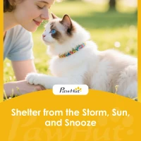 PawHut Cat Tent, 3-Tier Portable Pet Tent for Indoor Outdoor, Cat House with Multi-Door, Carry Bag, Breathable Mesh(m-10)