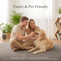 HOMCOM 5x7 Area Rug, Luxurious Faux Fur Rug, Non-Slip Floor Carpet for Living Room, Bedroom, Dining Room, Tan(m-10)