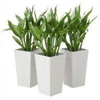 Outsunny Tall Planters for Outdoor Plants Set of 3, 24 In Taper Planters with Drainage Holes, Rattan Decor Plant Pots, White(m-1)