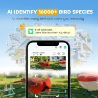 PawHut Smart Bird Feeder Camera Solar Powered with AI Identify 16000+ Birds, Auto Video Capture, Motion Detection(m-4)