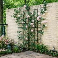 2 Pack Rustproof Garden Trellis with Powder-Coated Finish Galvanized Tube, Easy Assembled Metal Climbing Plant Support, 40" L x 87" H, Black(m-1)