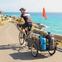 Soozier Bike Cargo Trailer, Bicycle Trailer Wagon Cart with Quick Release 16" Pneumatic Wheels, Aluminum Rims, Red Flag, Gray(m-2)