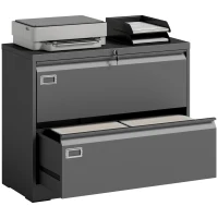 HOMCOM Lateral Filing Cabinet with 2 Drawers, Lockable Steel File Cabinet for A4/Letter/Legal Size Files, Black(m-11)
